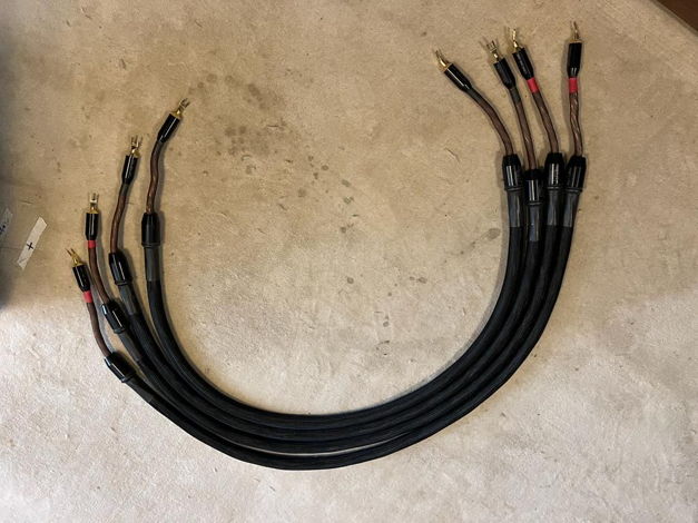 Tara Labs The 0.8 Speaker cables with spades