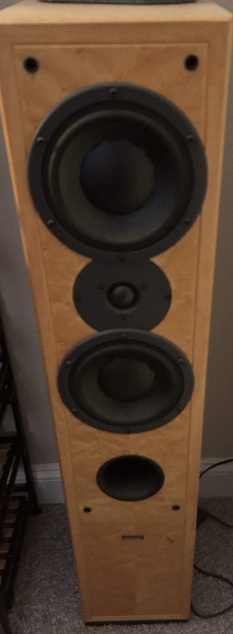 Dynaudio Contour T 2.5 4