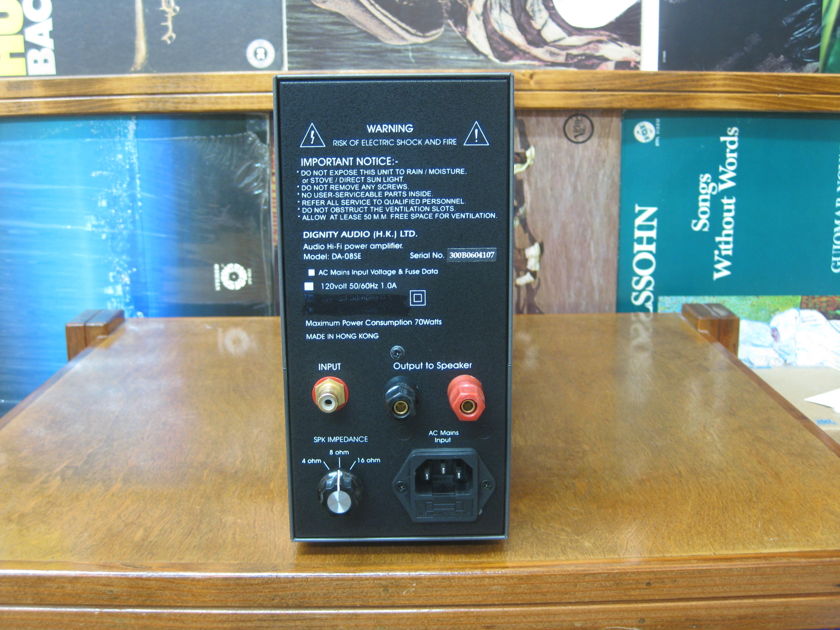 Dignity Audio 300B SE mono  power amplifier