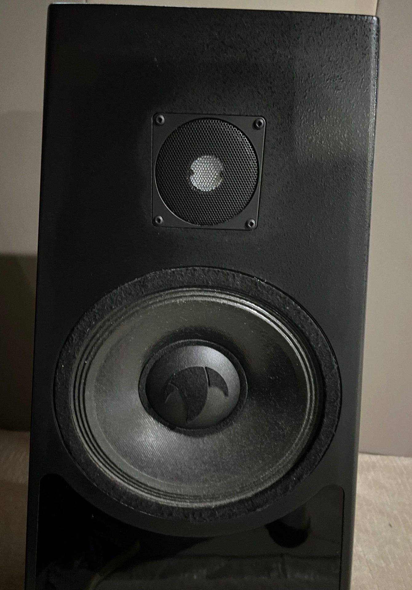 Talon Loudspeakers Raven C 13