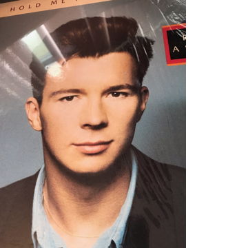 RICK ASTLEY LP HOLD ME IN YOUR ARMS RICK ASTLEY LP HOLD...