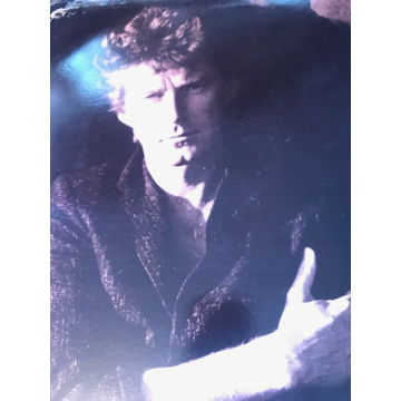 Don Henley - Building the Perfect Beast  Don Henley - B...