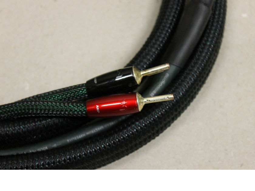 AudioQuest Aspen Speaker Cable Pair, 10 Feet Speaker Audiogon