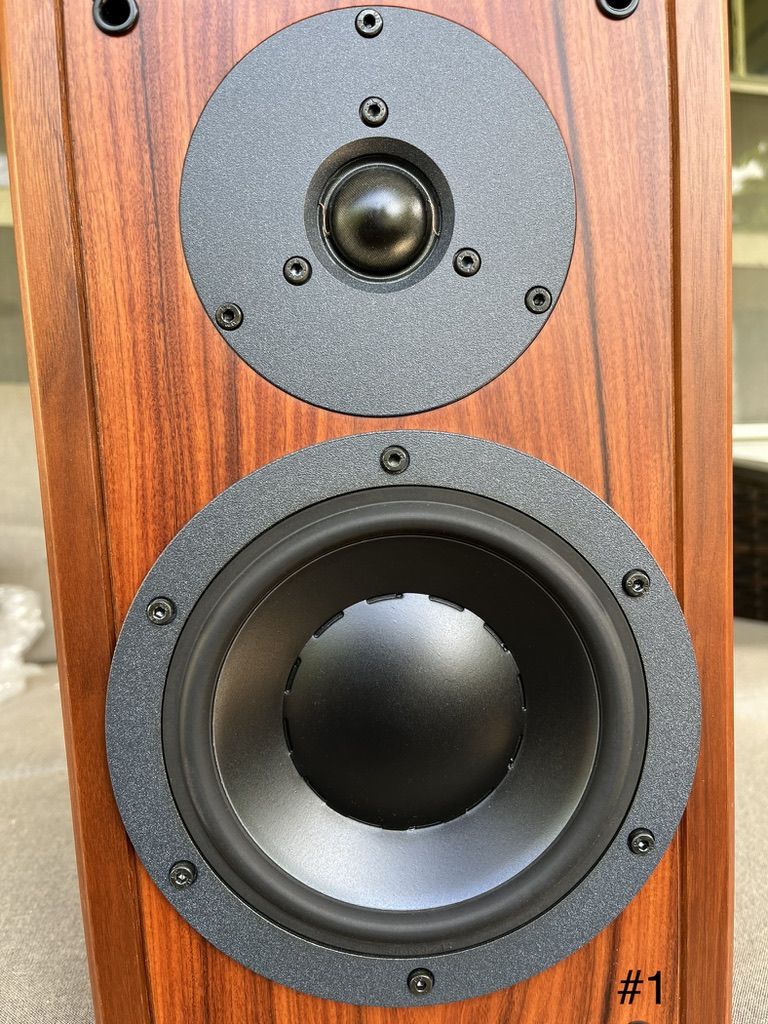 Dynaudio Contour 1.3 mkII 5