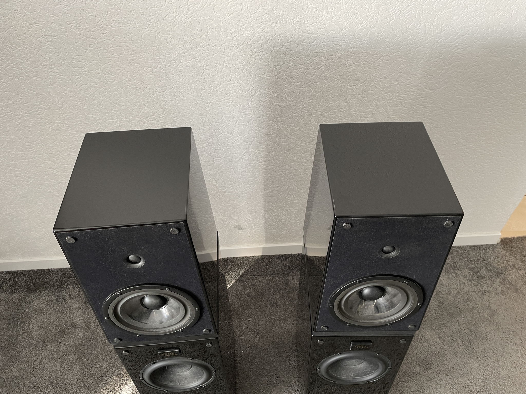 Verity Audio Rienzi speakers in black 9