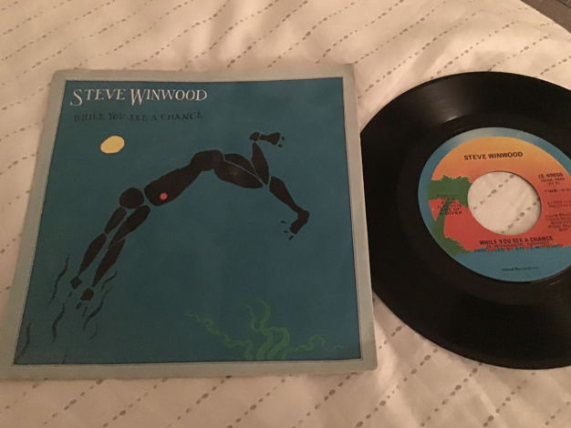 Steve Winwood  While You See A Chance Take It 45 With P...