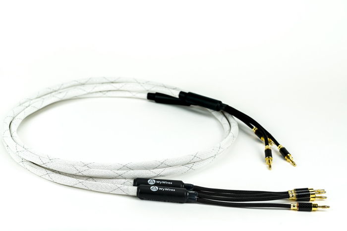 WyWires Platinum Series Speaker Cable - 8ft - Banana / ...