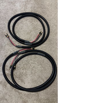 Purist audio musaeus Used Price | HifiZero