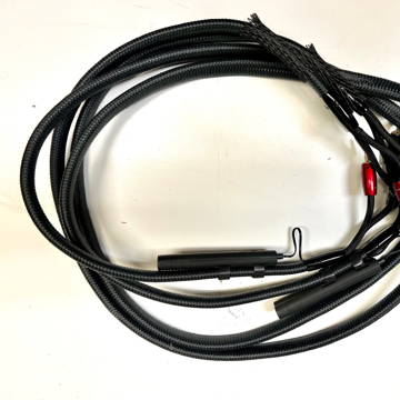 Audioquest Meteor speaker cable bi-wired spaces 8 ft 1 ...