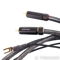 WyWires Diamond Series Phono Cable; 3ft Pair Interco (5... 5