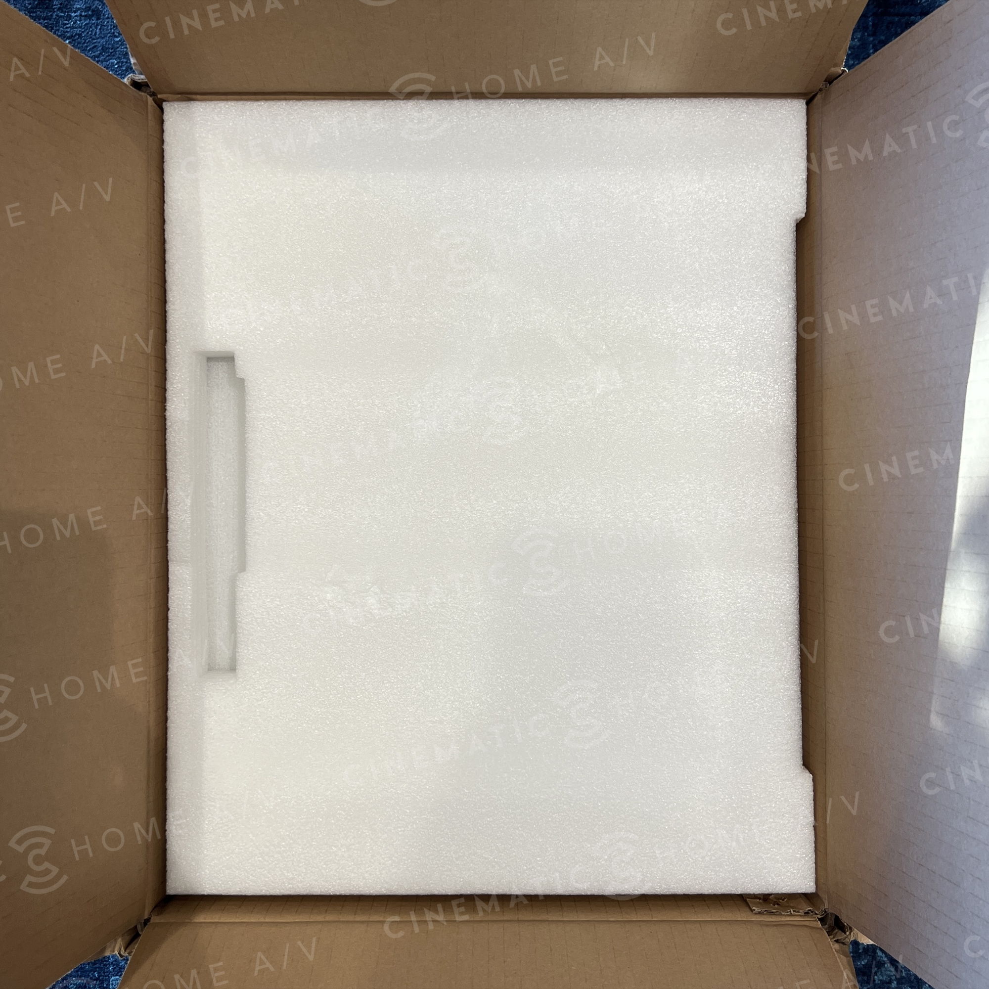 PrimaLuna EVO 100 Tube Phonostage 12