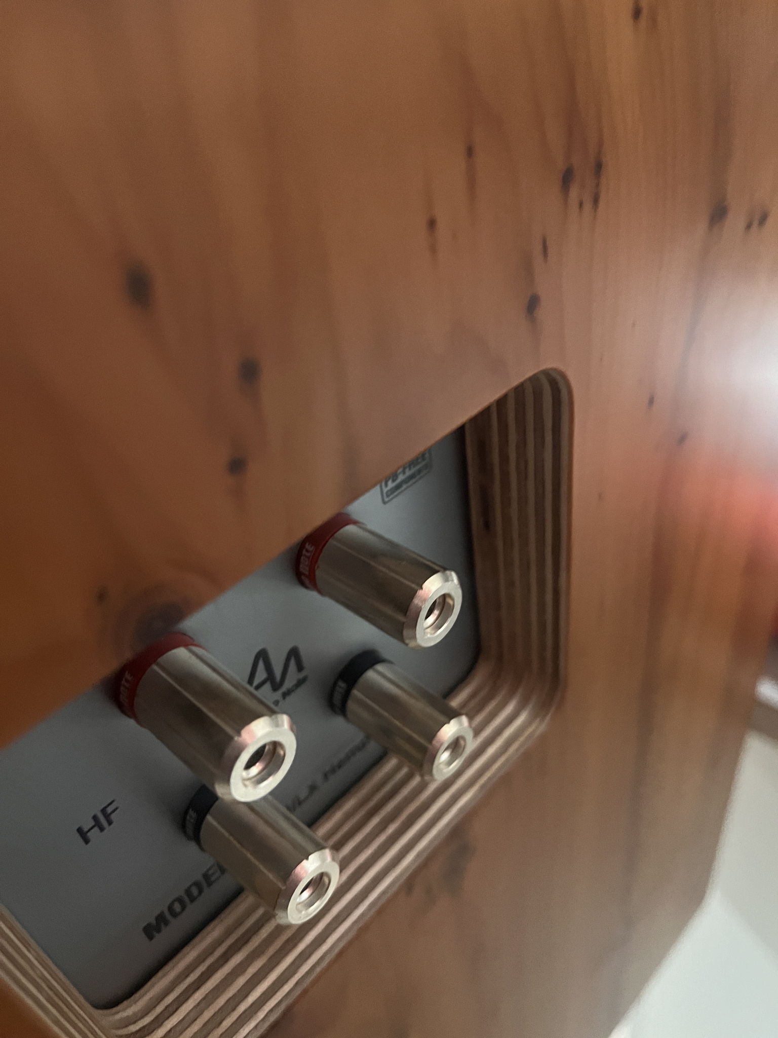 Audio Note (UK) AN-J/LX Hemp loudspeaker pair 2