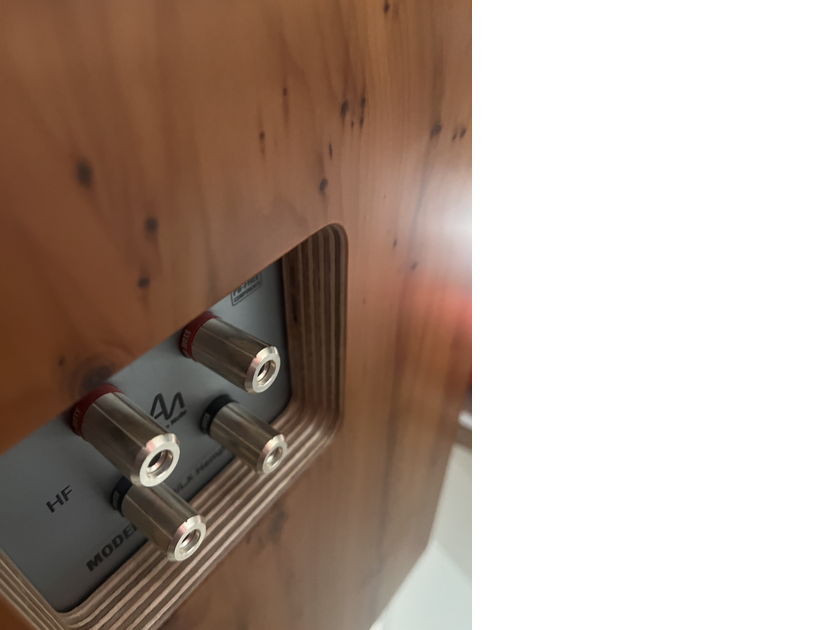 Audio Note (UK) AN-J/LX Hemp loudspeaker pair