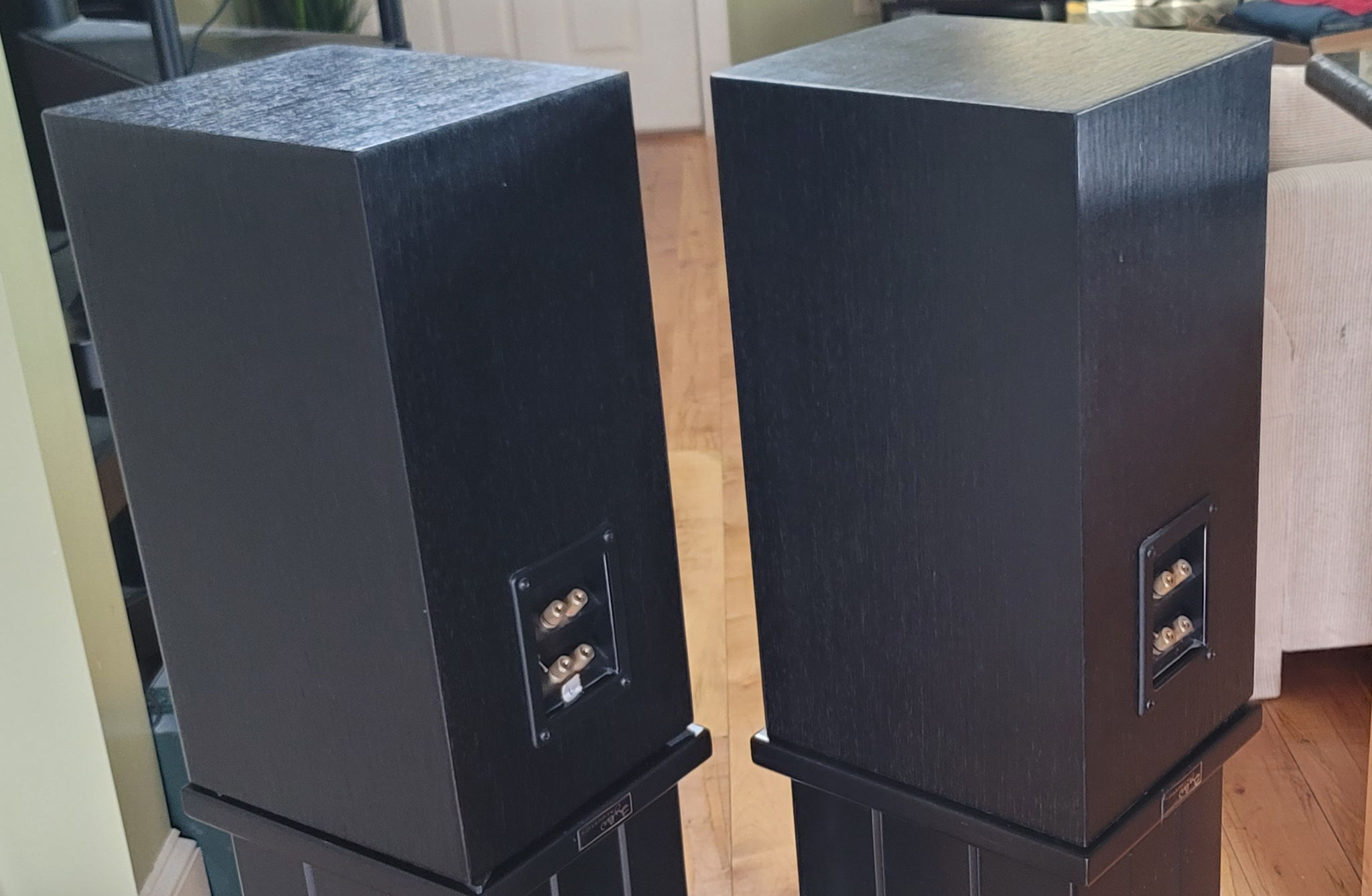 Tyler Acoustics Taylo Reference Monitors  (I'll include... 2