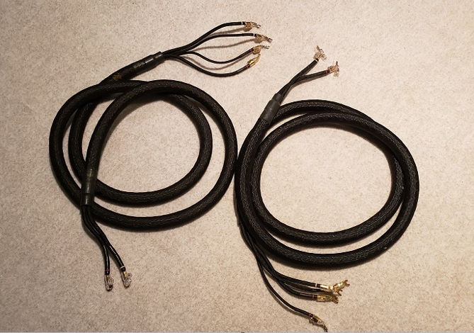 Kimber Kable Bifocal XL Bi Wire - 3 meters (make offer)