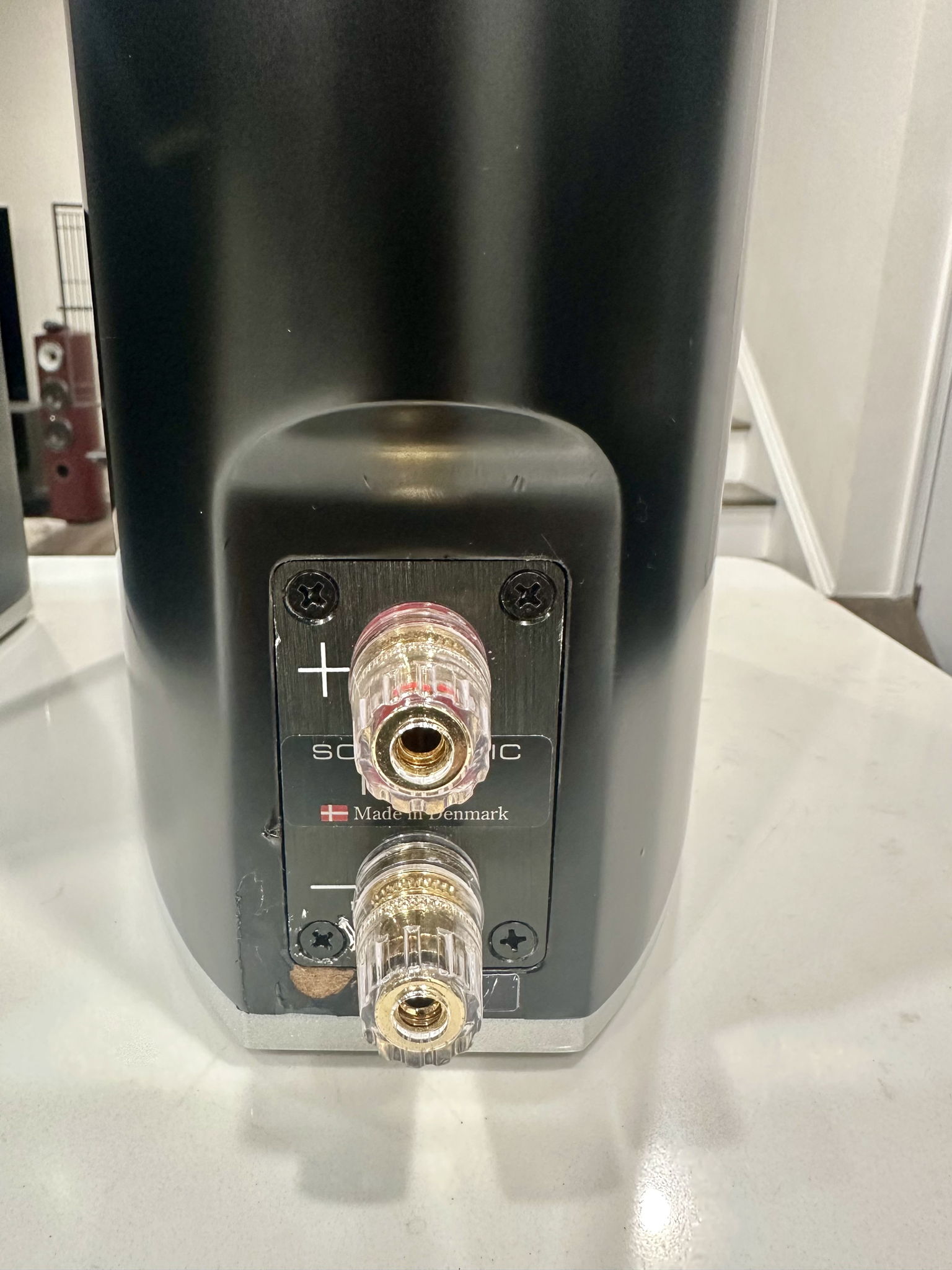 Scansonic  MB-1 bookshelf speakers with raidho stands 5