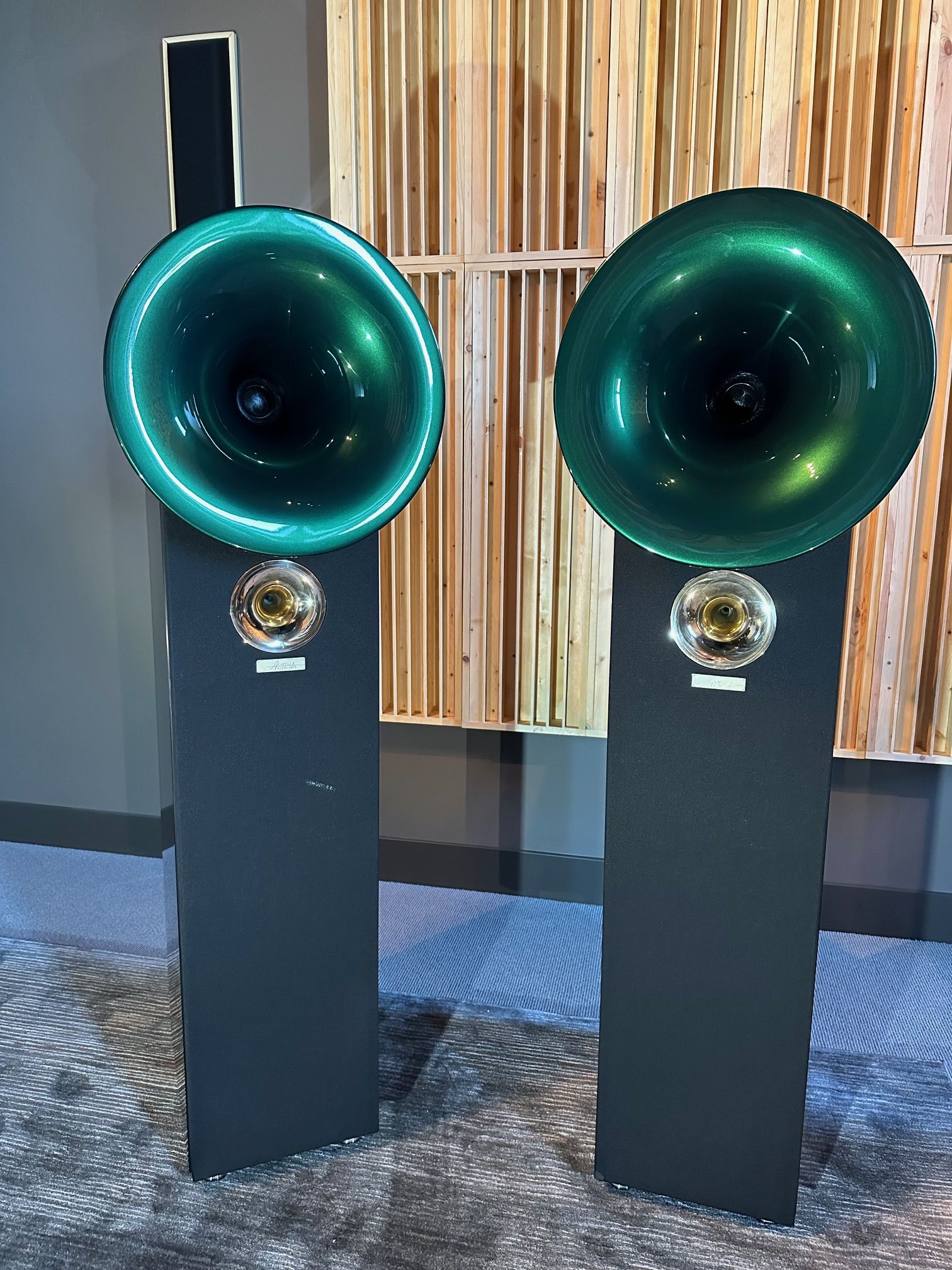 Acapella Audio Arts High Violon Suboctave Horn Speakers... 10