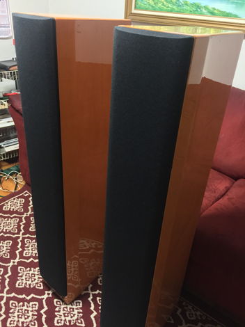 Mcintosh  XR100 Floor Standing Speakers