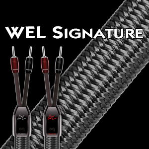 WEL Signature 6 ft Speaker cable with spades.