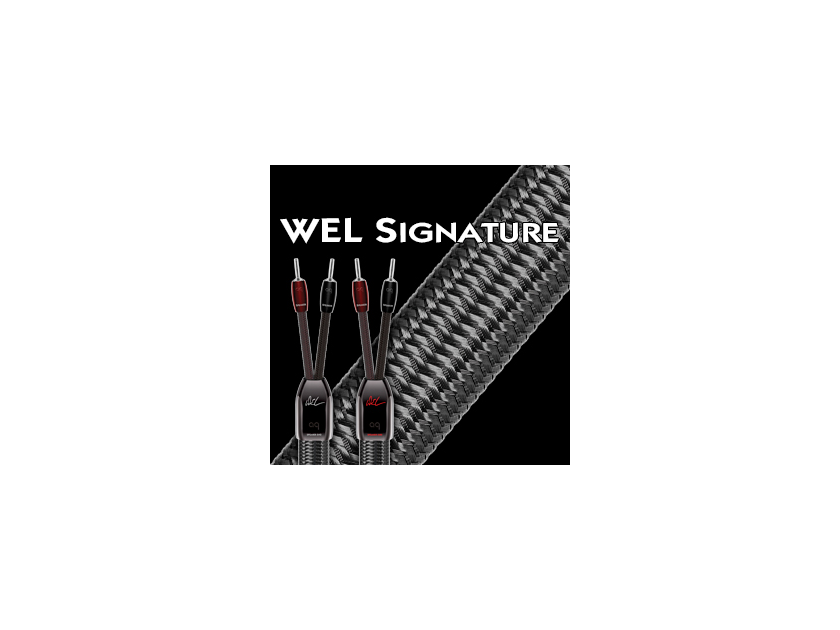 AudioQuest WEL Signature Speaker cable demo 6 ft
