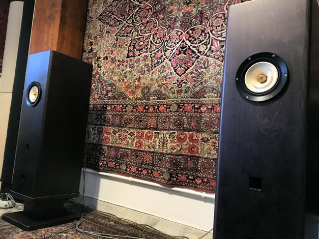 Feastrex Vivace - RARE Field Coil Speakers - REDUCED - ...