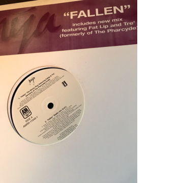 Mya Fallen Remix 12” Vinyl Promo Record Mya Fallen Remi...