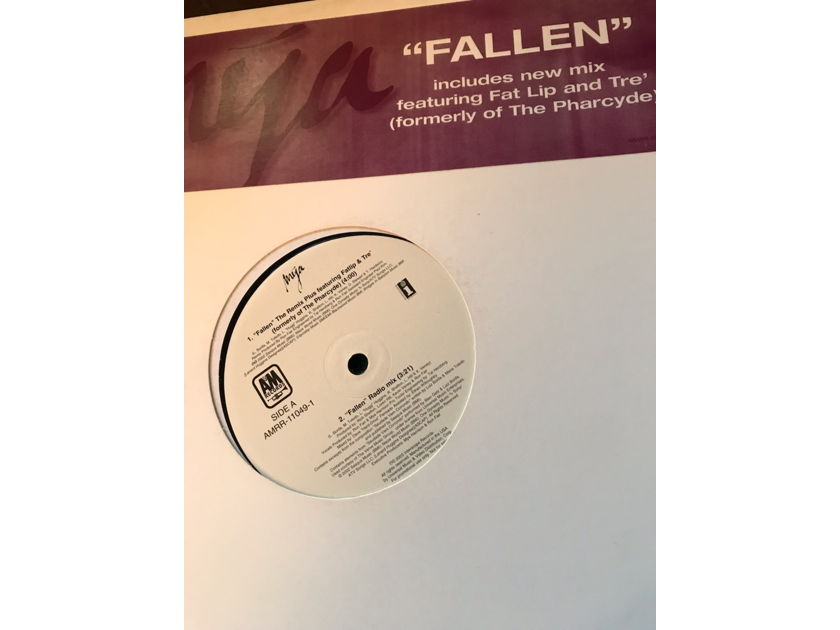 Mya Fallen Remix 12” Vinyl Promo Record Mya Fallen Remix 12” Vinyl Promo Record