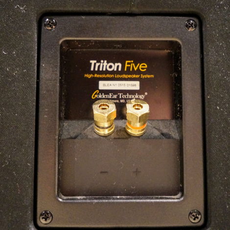 GoldenEar Technology Triton 5