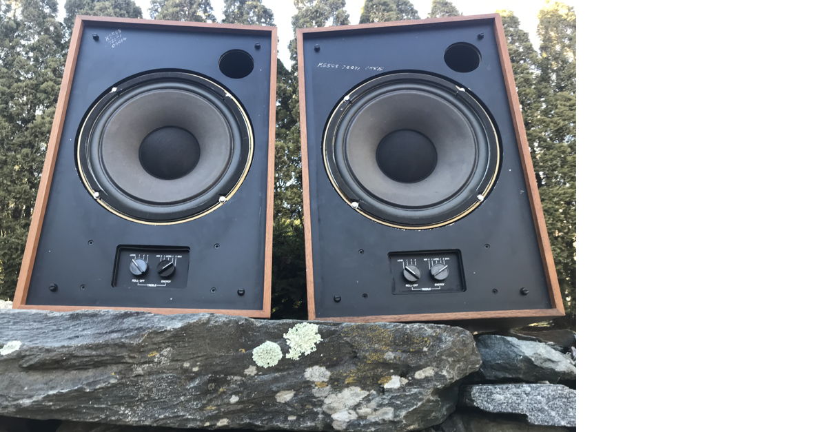 TANNOY ベア DEVON