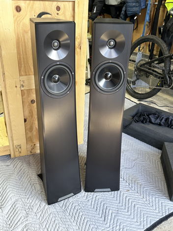 YG Acoustics Carmel 2 - Price too low to post.  CALL