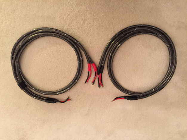 Wireworld Eclipse II Bi-Wire Speaker Cables 10-Foot