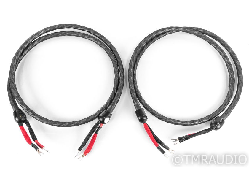 WireWorld Silver Eclipse 7 Speaker Cables; 2.5m Pair (21338)