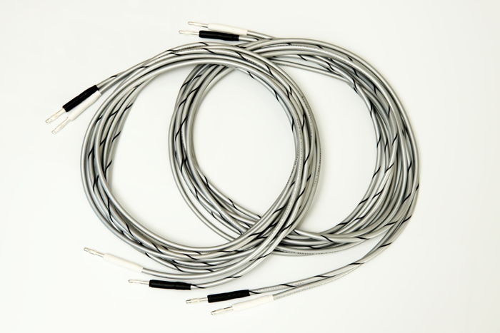 Audio Note AN SPx Reference QSSC sliver speaker cable