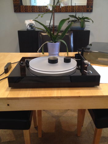 Well tempered Record Player