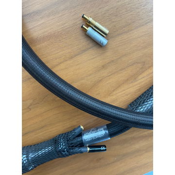 Synergistic Research Euphoria SX power cord