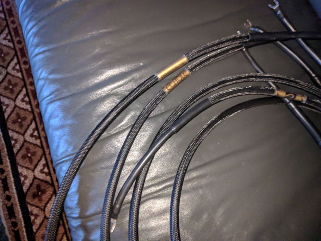 Echole  Obsession Cables - 2nd Price drop