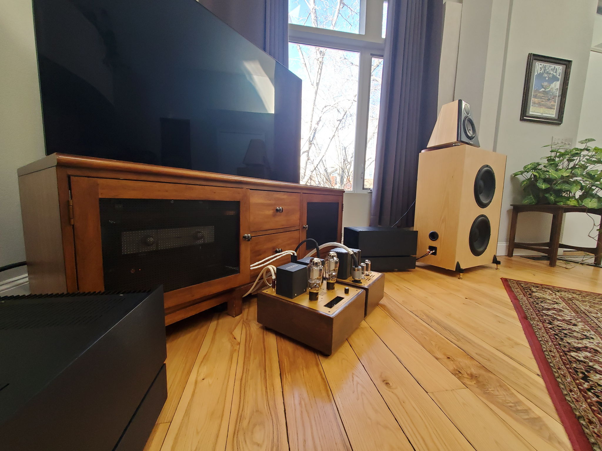 Shiny Eyes EML-20A Reference Preamplifier