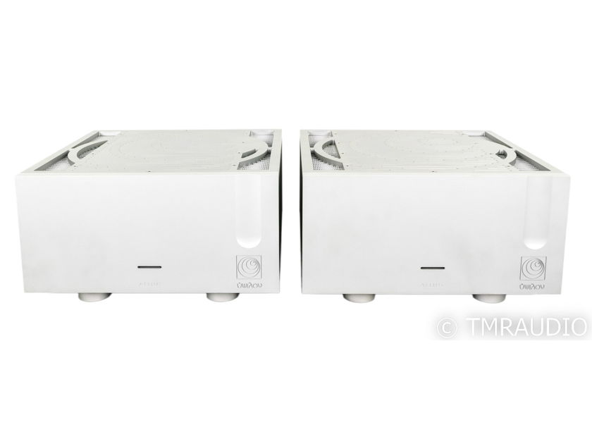 Ypsilon Aelius Mono Tube Hybrid Power Amplifier; Silver Pair (New Tubes) (48082)