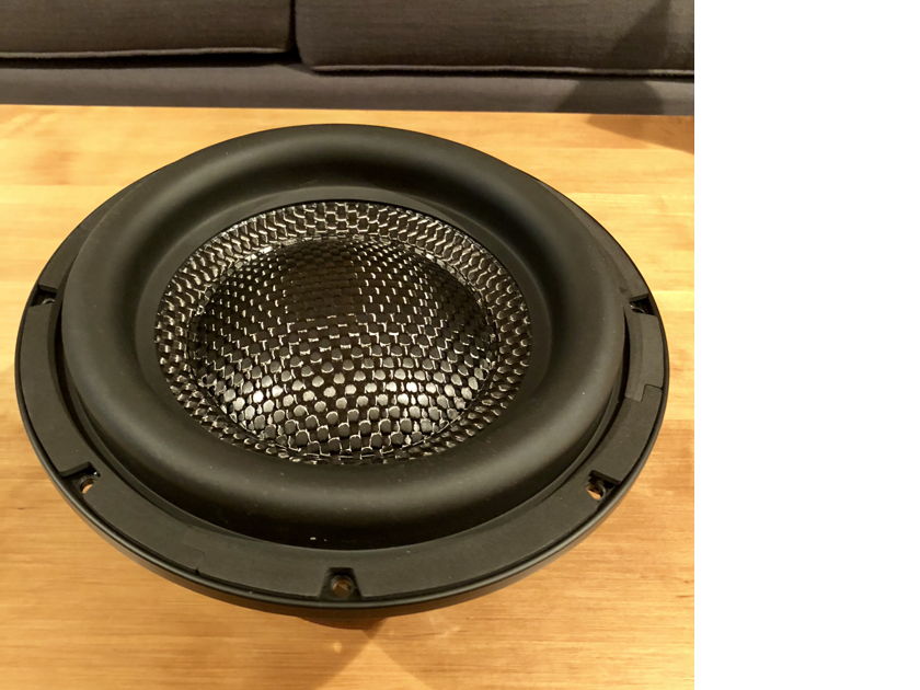 Carbon fiber cheap subwoofer