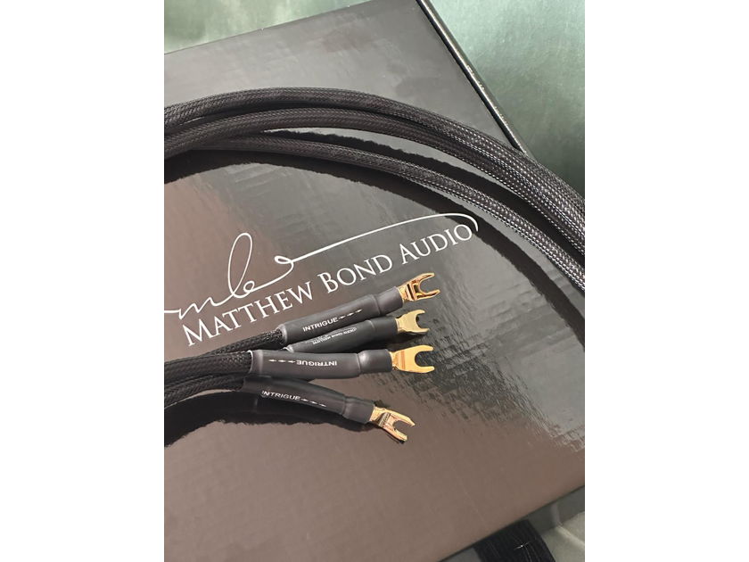 Matthew Bond Audio Intrigue Speaker Cable