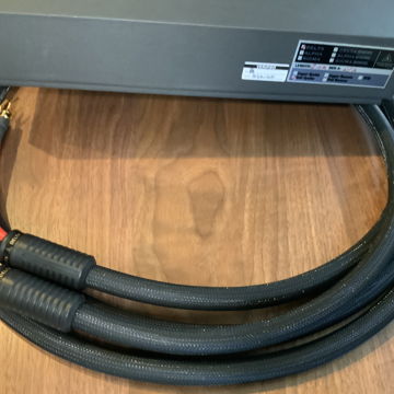 Shunyata Research Delta Speaker Cable 2M