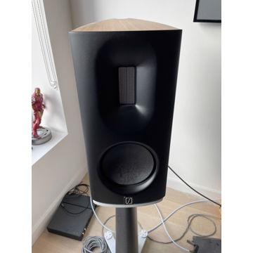 Borresen 01 Speakers w/ /Darkz T2S and Stands
