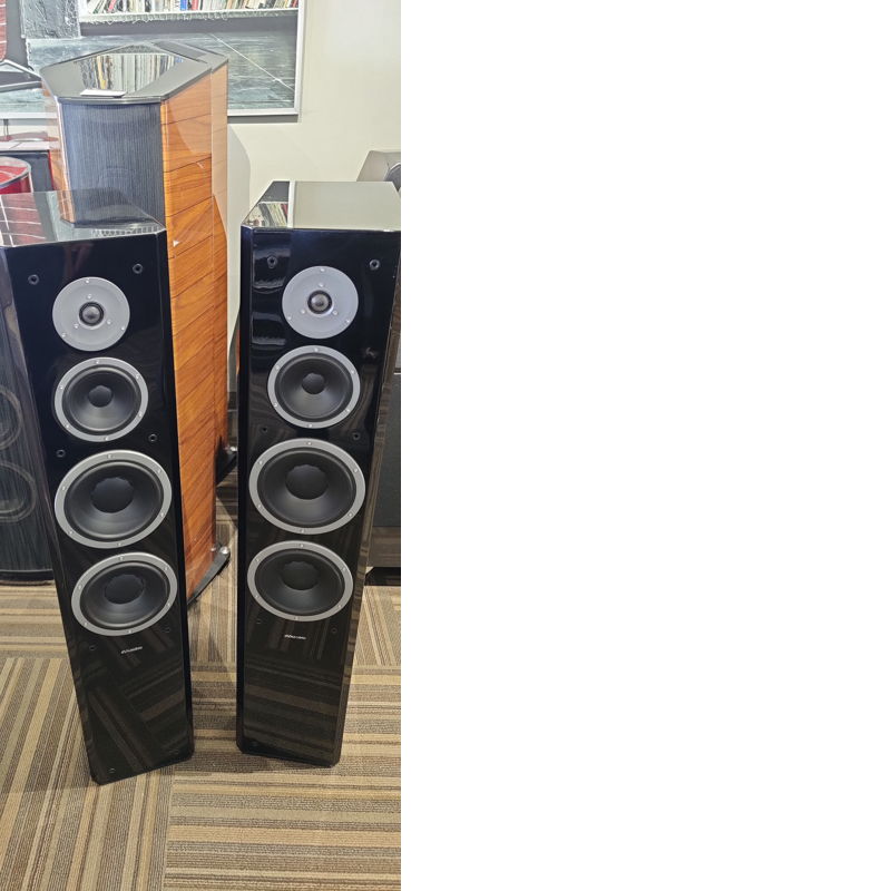 Dynaudio scx cheap
