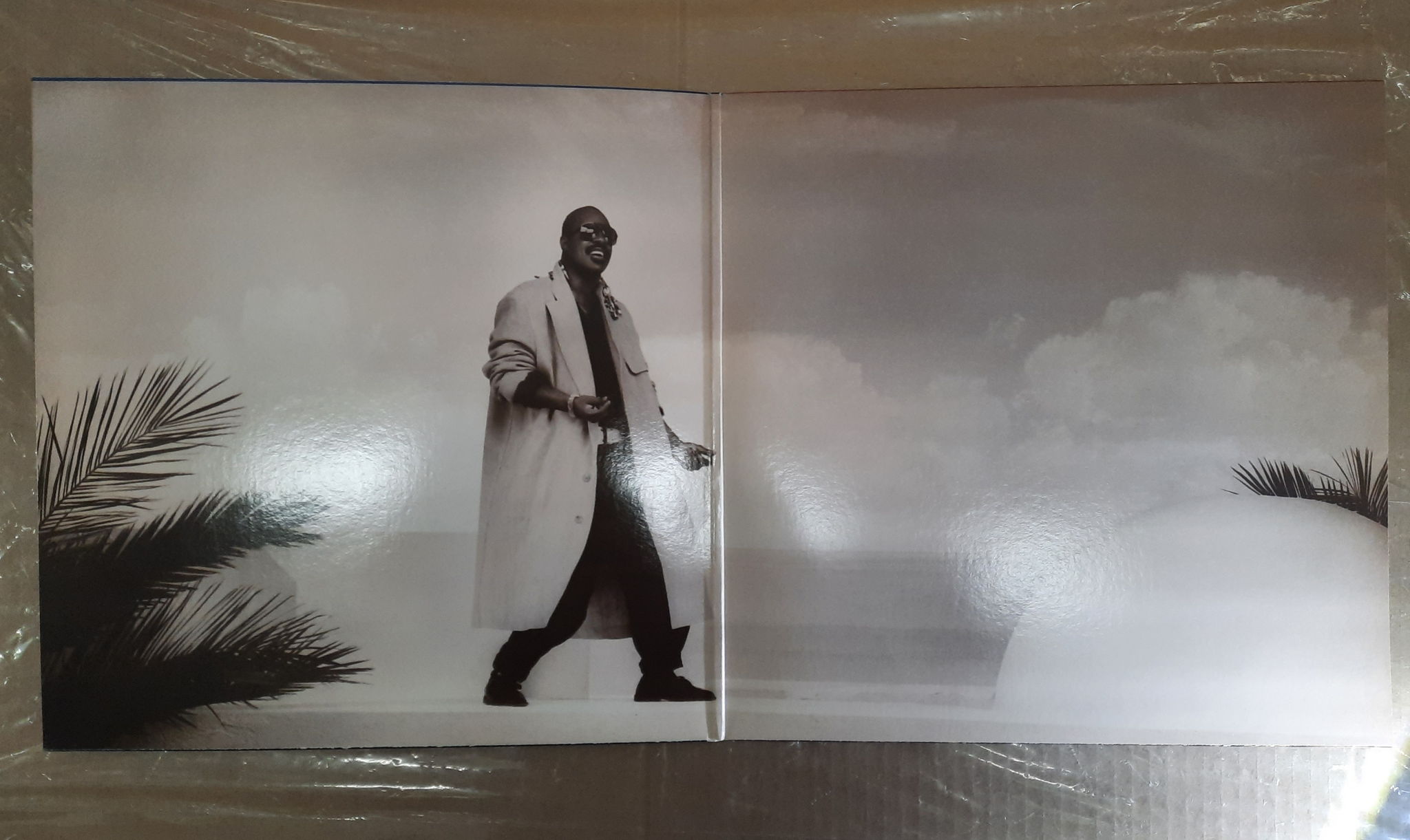 Stevie Wonder - In Square Circle 1985 NM- ORIGINAL VINY... 4