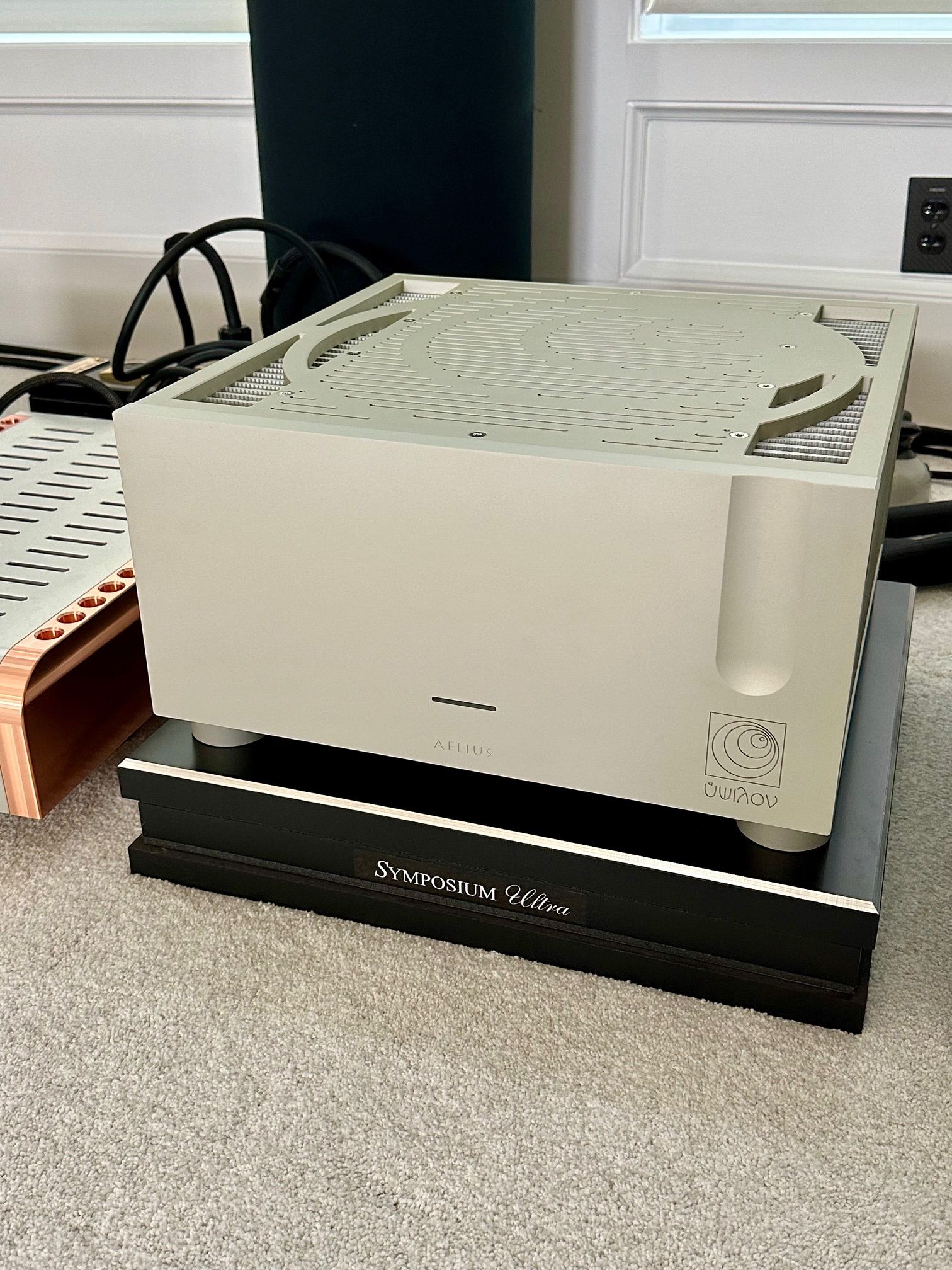 Ypsilon  Aelius II Hybrid Monoblock Amps 2