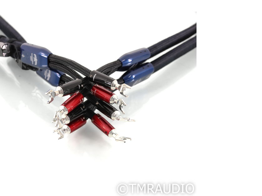 AudioQuest ThunderBird ZERO Speaker Cables; 8ft Pair (Open Box) (51319