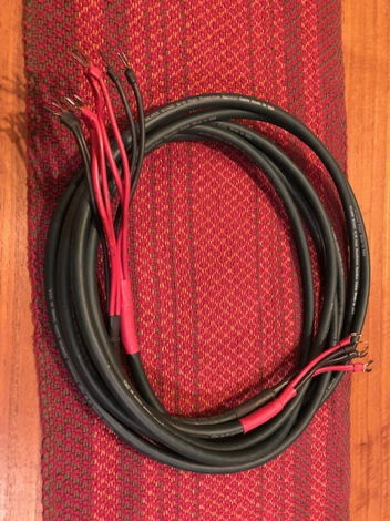 DH Labs Q-10 Speaker Cable
