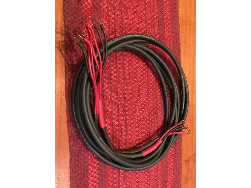 DH Labs Q-10 Speaker Cable