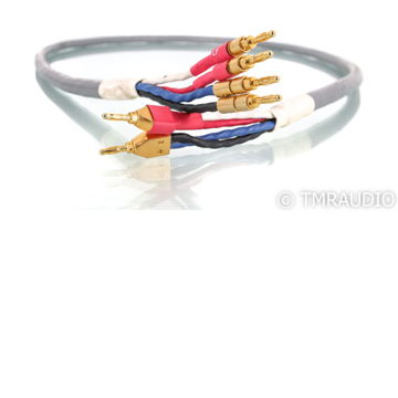 Tara Labs RSC Prime 1000 Bi-Wire Speaker Cable; 6ft; Si...