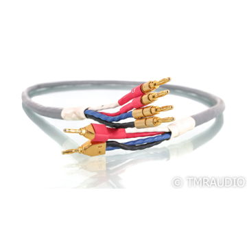 Tara Labs RSC Prime 1000 Bi-Wire Speaker Cable; 6ft; Si...
